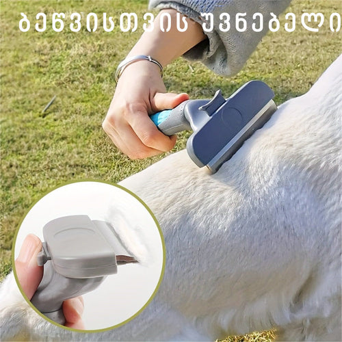 შინაური ცხოველების სავარცხელი